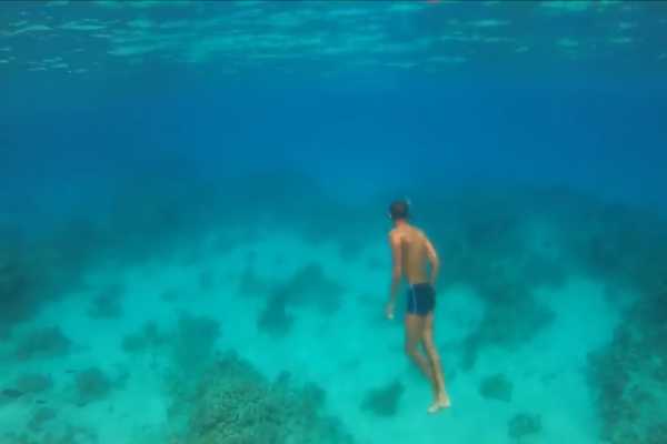 El Gouna Tours Sharm El Naga Bay Snorkelling Trip From Sahel Hasheesh
