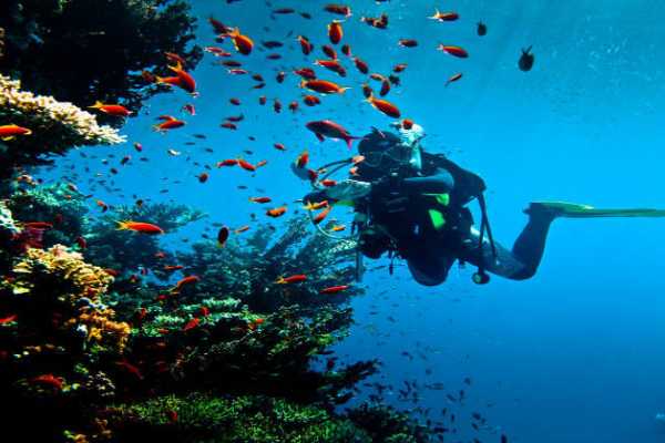 Daily tours Egypt PAQUETE FAMILIAR DE 6 D&Iacute;AS EN EL CAIRO Y HURGHADA