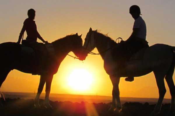 Daily tours Egypt Horse riding in Luxor Egypt