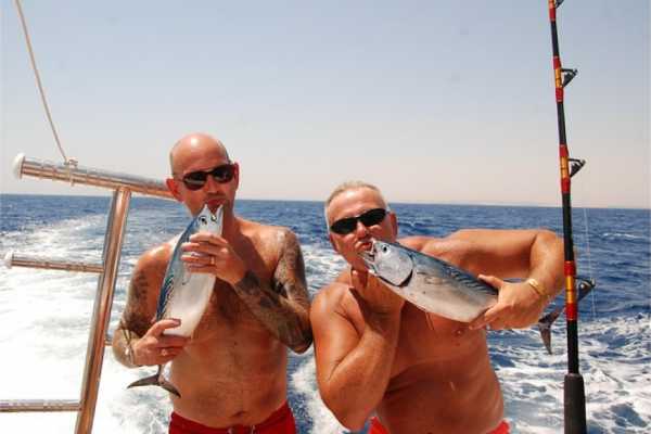 Daily tours Egypt VIAJE DE PESCA PRIVADO DESDE LA BAH&Iacute;A DE SOMA EN ALQUILER: VIAJE EN BARCO DE D&Iacute;A COMPLETO