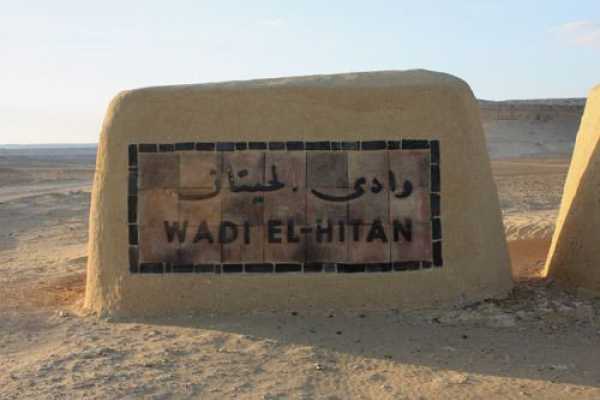 Daily tours Egypt EXCURSI&Oacute;N DE UN D&Iacute;A A WADI AL HITAN Y AL OASIS DE FAYOUM DESDE EL CAIRO