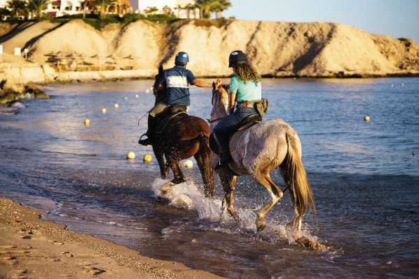 Excursies Egypte Horseback Riding in Sharm El Sheikh