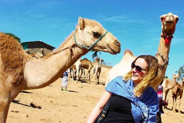 EMO TOURS EGYPT DARAW CAMEL MARKET DAY TOUR IN ASWAN