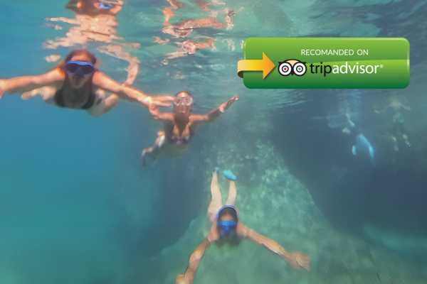 Trips4fun Experiencia de snorkel 360 en la isla de Sazan y Karaburun
