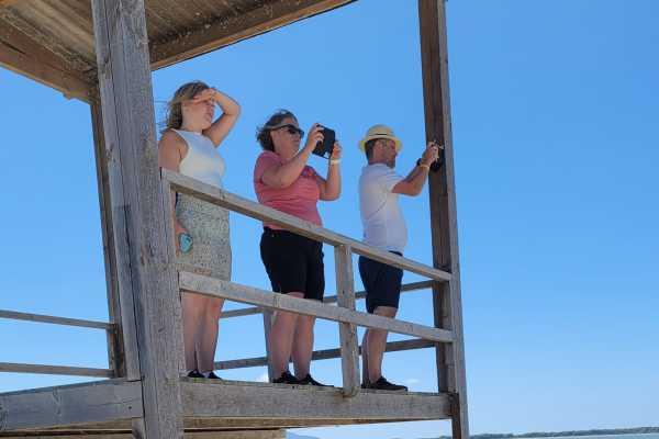 Trips4fun BIRDWATCHING NEL PAESAGGIO PROTETTO DI VJOSE-NARTE