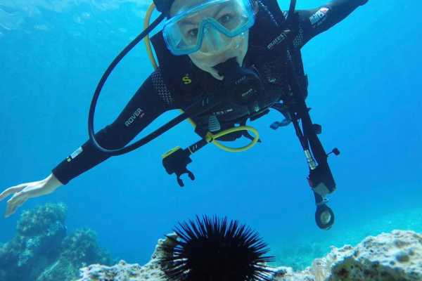 Trips4fun Scuba Diving Experience in Jale Bay Coral Reef