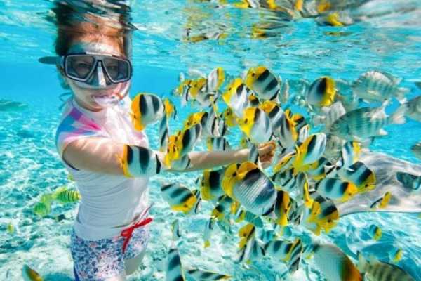 Marsa alam tours DAY SCUBA DIVING TOUR FROM SHARM EL SHEIKH PORT