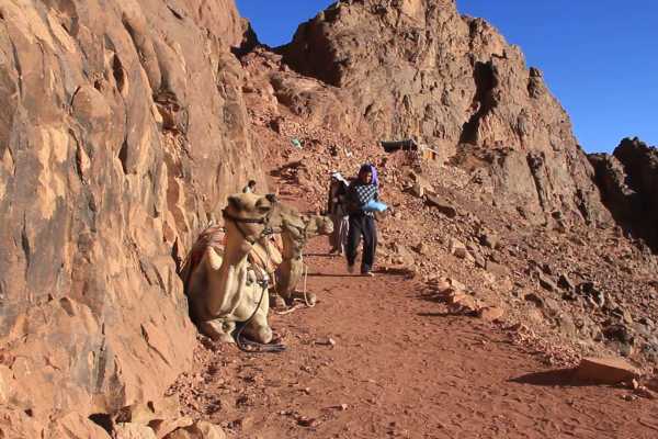 Marsa alam tours Private trip to Mount Sinai and  St. Catherine's Monastery from Cairo