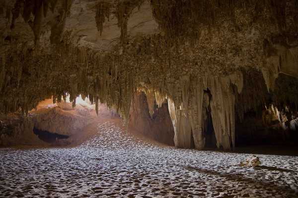 Marsa alam tours 4 Day Tour to the white desert and Djara Cave with valley of the whales from Cairo