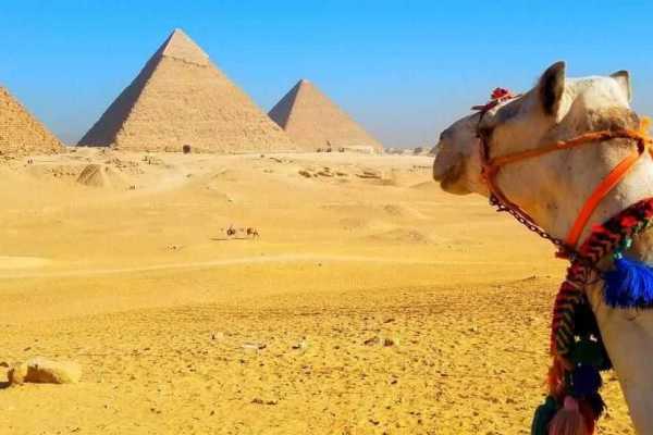 Egypt Tour packages Cairo Day tour from Soma bay by plane