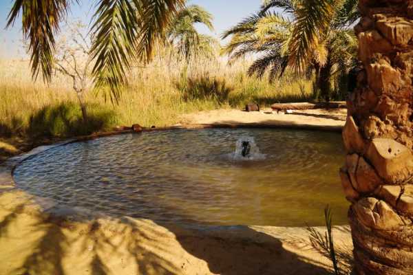 Egypt Tour packages 17 days Egypt tour Package