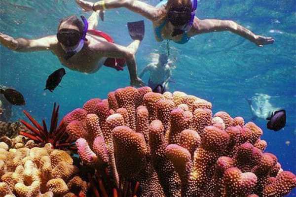 Daily tours Egypt VIAJE EN BARCO PARA SNORKEL EN LA ISLA DE TIRAN DESDE SHARM EL SHEIKH