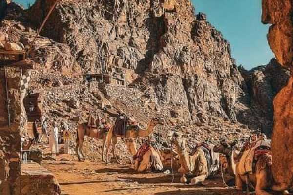 Daily tours Egypt VIAJE PRIVADO AL MONASTERIO DE SANTA CATALINA DESDE SHARM EL SHEIKH