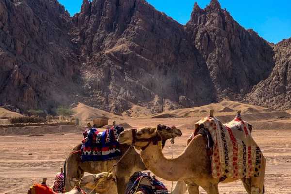 Daily tours Egypt TOUR DEL SAFARI DE ORO DESDE SHARM EL SHEIKH