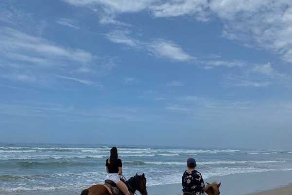 Daily tours Egypt PASEO A CABALLO EN SHARM EL SHEIKH