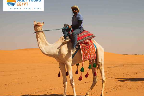Daily tours Egypt 4 DAY HEGRA & SAUDI ARABIA TOUR PACKAGE FROM AQABA