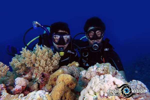 Daily tours Egypt PRIVATE TRANSFER FROM CAIRO HOTEL TO DAHAB HOTEL