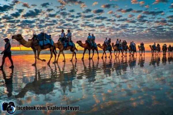 Daily tours Egypt PAQUETES DE VACACIONES DE LUJO EN EGIPTO