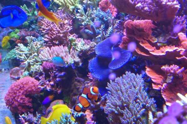 Daily tours Egypt TRASLADOS DEL AEROPUERTO DE LUXOR A EL CAIRO EN AUTOBÚS