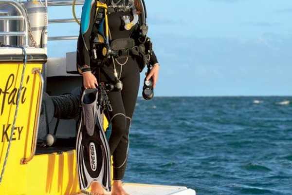 Daily tours Egypt TRASLADO PRIVADO DEL HOTEL LUXOR AL HOTEL MARSA ALAM