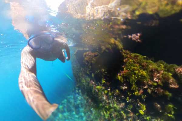 Trips4fun Snorkeling Experience Haxhi Aliu Cave & Ionian Cliffs