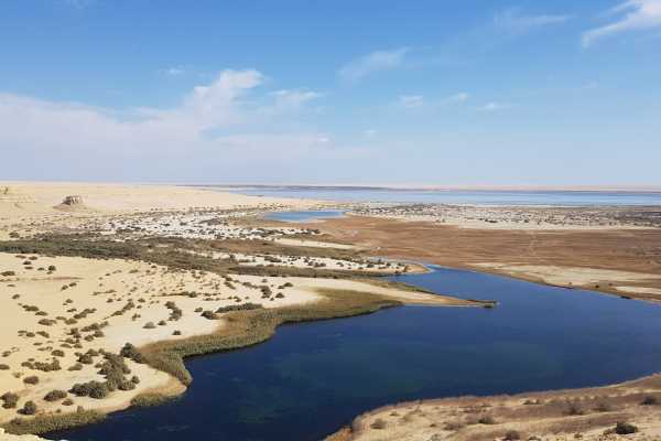 Marsa alam tours 2 Day trip to wadi el Hitan in Fayoum from Cairo