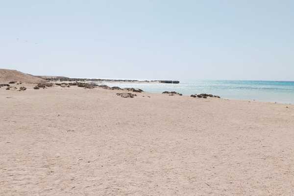 Egypt Tour packages Half day snorkeling to Sharm El-Luli from Marsa Alam