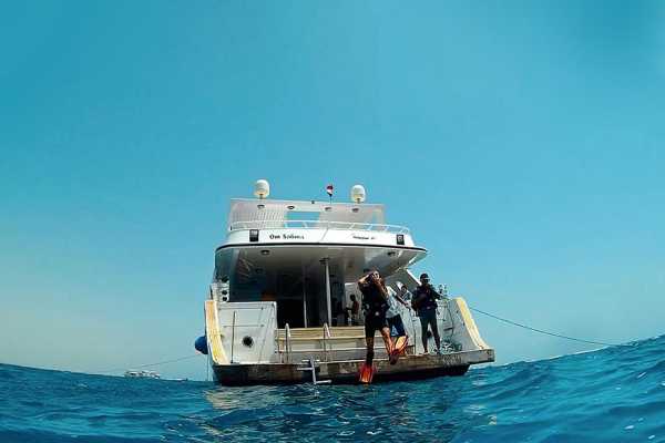 Egypt Tour packages Private boat trip to Shaab Samadai from Marsa Alam