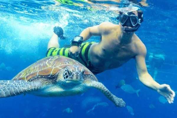 Egypt Tour packages Marsa Mubarak Snorkeling Trip From Port Ghalib