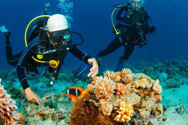 Egypt Tour packages Marsa Mubarak Diving Trip From Port Ghalib