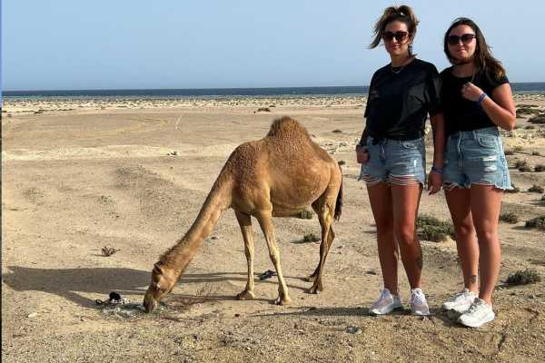 Egypt Tour packages Private trip to wadi El Gemal from El Quseir