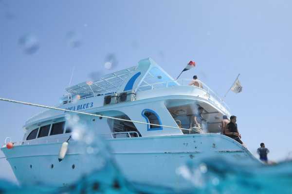 Egypt Tour packages Private boat trip to Shaab Samadai from El Quseir