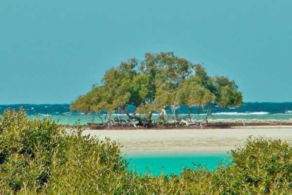 Egypt Tour packages Snorkeling Day trip to Sharm el Lulli and wadi El Qulaan from Port Ghalib
