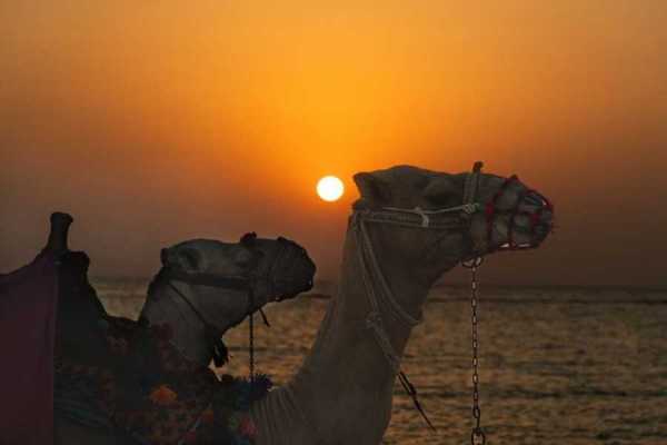 Tours to Egypt Egypt All Inclusive Family Vacation 7 Days with Nile Cruise 2024/2025