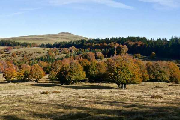 LOTIX Excursion commentée 1/2 journée en Aubrac