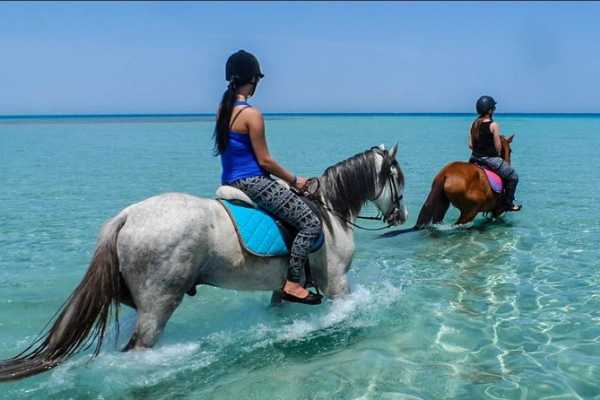 Daily tours Egypt Horse riding tour - 2 hours ( Private Tour ) in hurghada