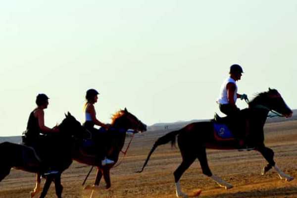 Daily tours Egypt Arabian Desert and Sea Horseback Adventure Hurghada