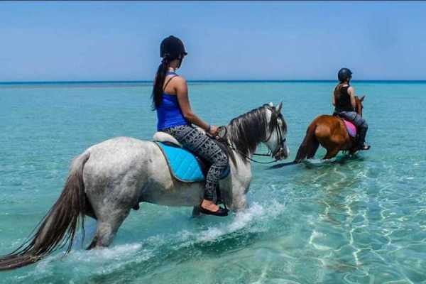 Egypt Tour packages Sunrise Horse riding in Hurghada 2 hours by the desert and the Sea