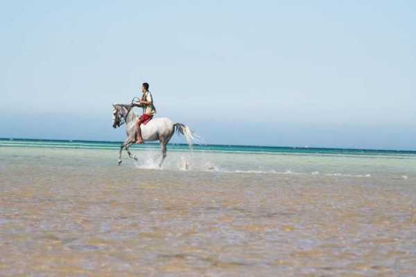 Egypt Tour packages Sunset Horse riding in Hurghada 2 hours by the desert and the Sea