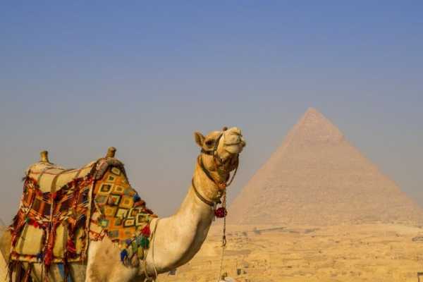 Egypt Tour packages 4 Day Trip to Cairo and the desert