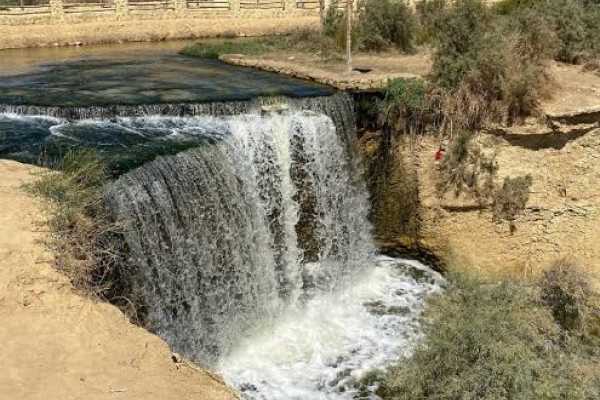 Excursies Egypte 3 Days trip wadi el Hitan and Fayoum Oasis from Cairo