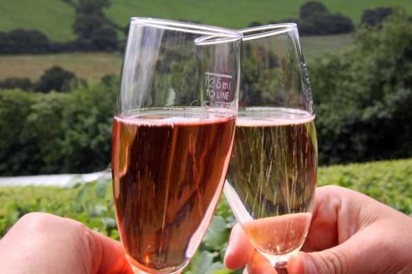 LOTIX Indulge in the Ultimate Champagne Experience: A Day Trip from Paris