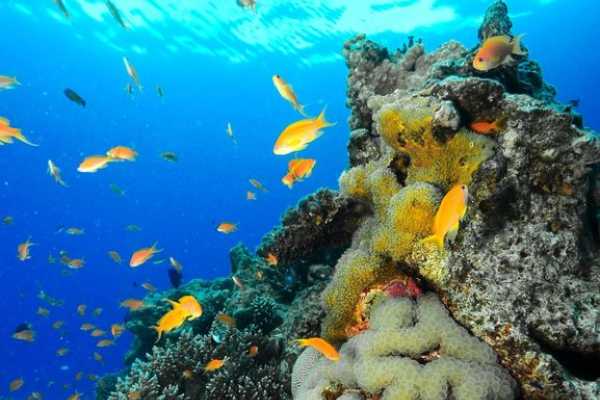 Egypt Tour packages 12 Days Egypt Tour Package Cairo Nile cruise and Marsa Alam