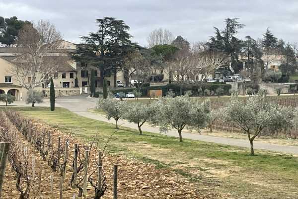 LOTIX Full-Day Wine Tour: Discover the Essence of Châteauneuf-du-Pape