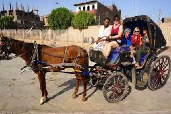 Daily tours Egypt Luxor Tour by Horse-Drawn Carriage