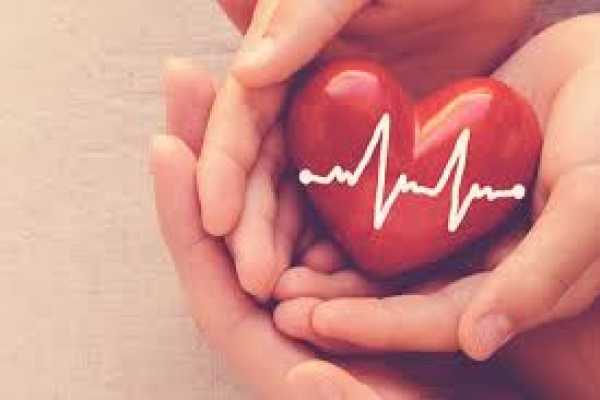 Daily tours Egypt Civitatis Travel Insurance