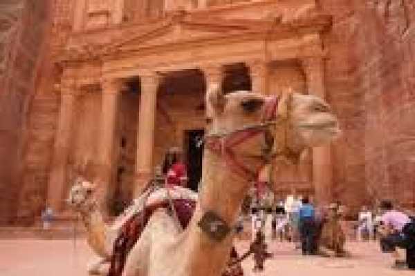 Daily tours Egypt Day Trip to Petra by Plane