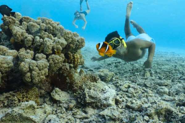 Egypt Tour packages 13 Days Egypt Vacation Package Cairo Nile cruise and Marsa Alam