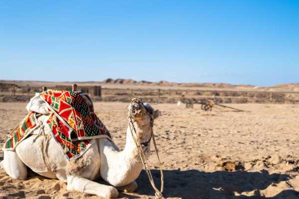 Egypt Tour packages 14 Day Egypt itinerary Nile cruise and the desert with Red Sea
