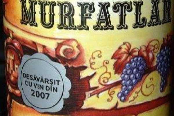 Carpathian Travel Center Wines of Dobrogea in Murfatlar area